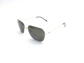 Polarized (P)